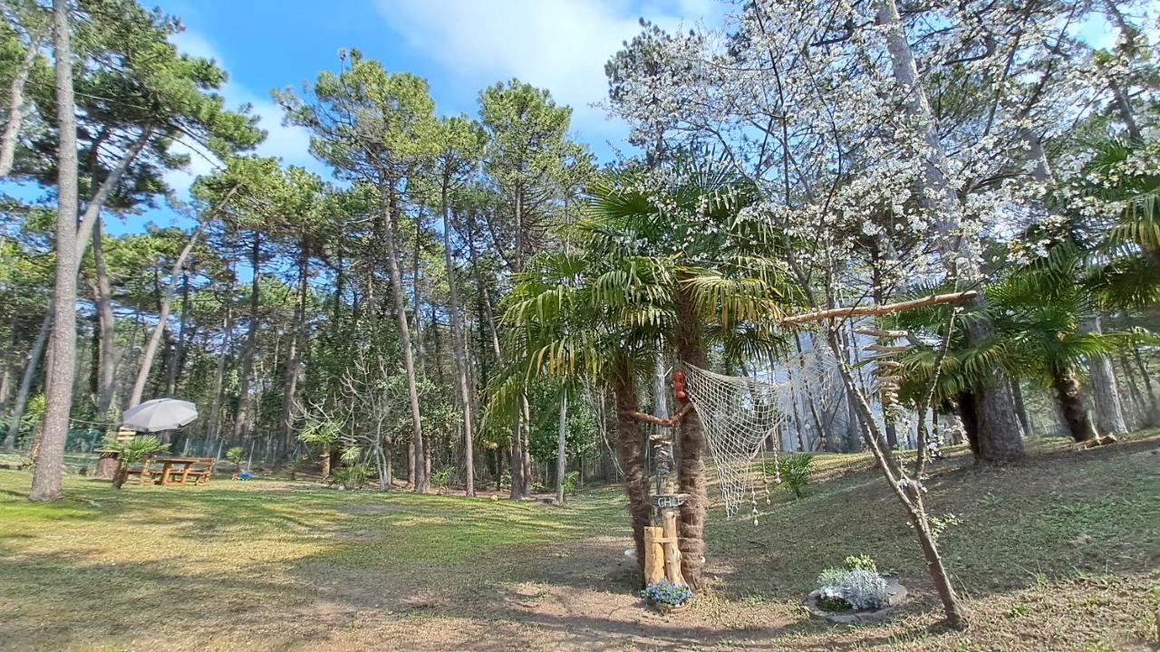 Villa Barbara Fra I Pini Lignano Sabbiadoro Eksteriør billede